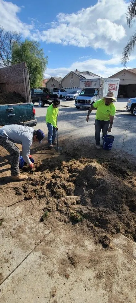 Trusted garden landscaping in San Fernando Valley, CA by M & Sons Landscape & Hardscape SVC