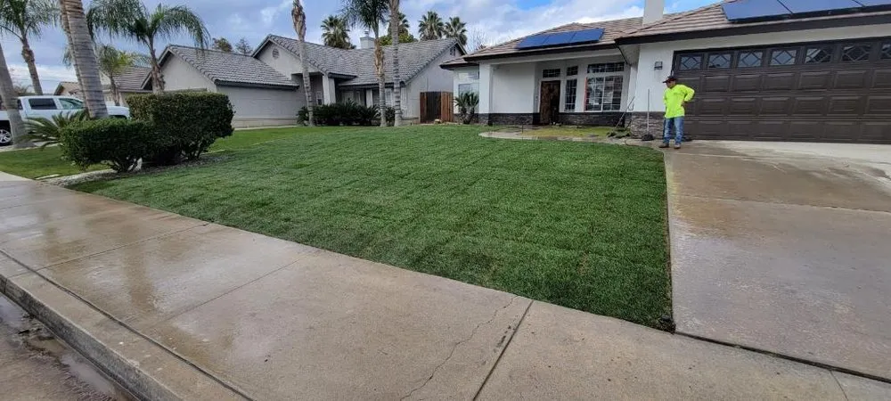 Custom yard cleanup service in San Fernando Valley, CA - M & Sons Landscape & Hardscape SVC