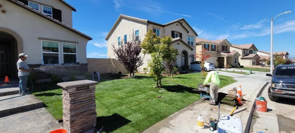 Top-rated yard maintenance for beautiful yards in San Fernando Valley, CA by M & Sons Landscape & Hardscape SVC