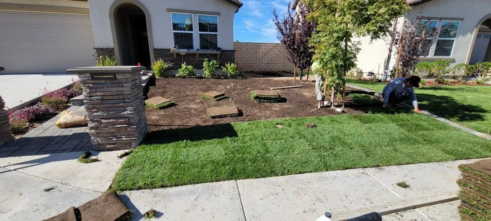 Local yard cleanup service for year-round maintenance across San Fernando Valley, CA - M & Sons Landscape & Hardscape SVC