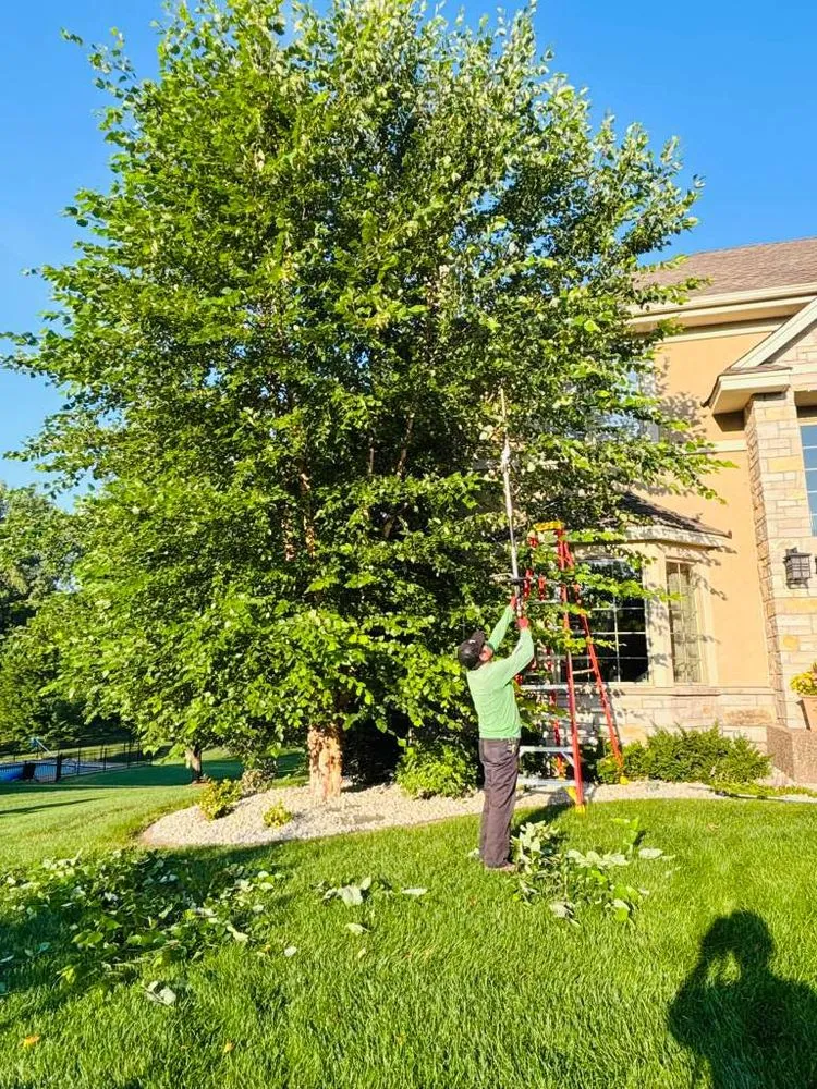 Affordable landscape design for beautiful yards in Richfield, MN by M & Sons Lawn And Landscaping