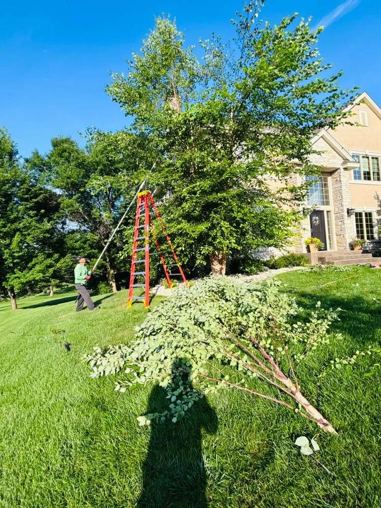 Reliable landscape design in Richfield, MN - M & Sons Lawn And Landscaping