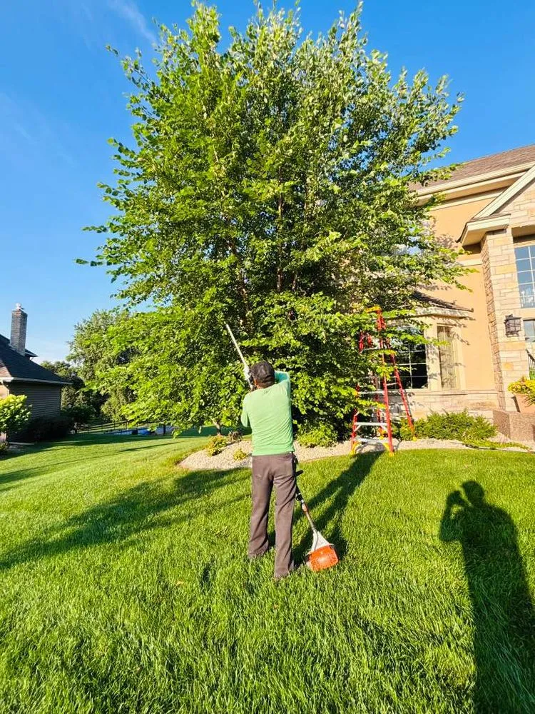 Trusted landscape installation experts serving Richfield, MN - M & Sons Lawn And Landscaping
