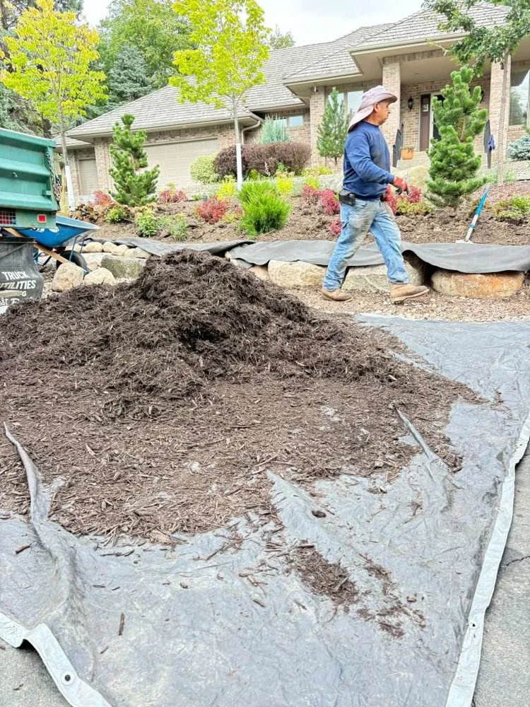 Trusted yard cleanup service for beautiful yards in Richfield, MN by M & Sons Lawn And Landscaping