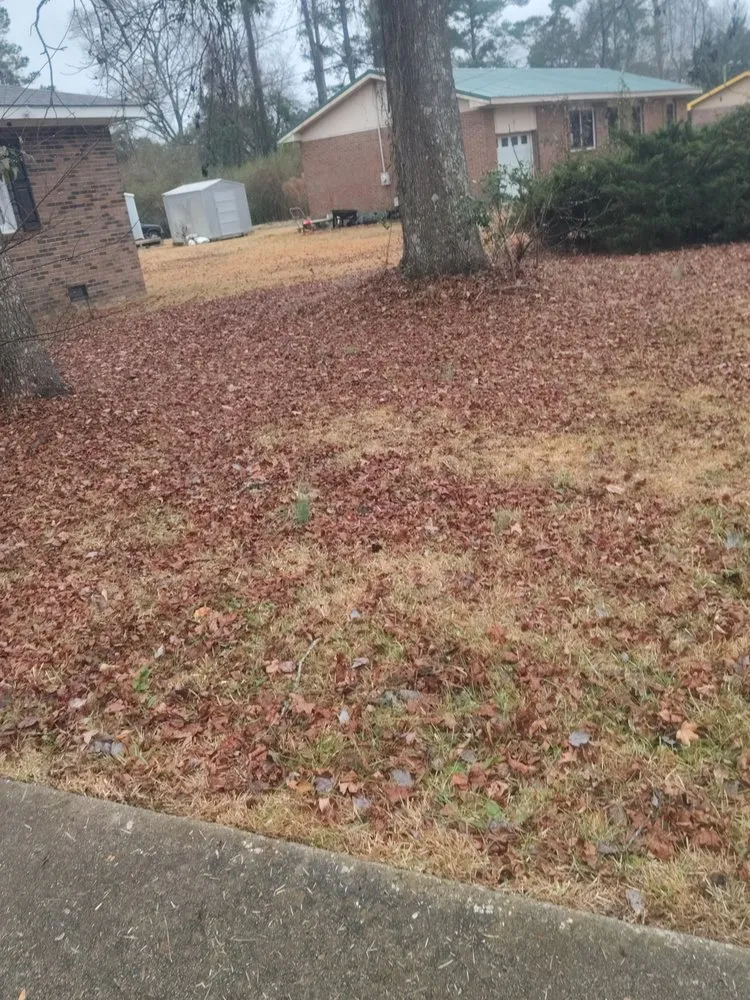 Custom outdoor landscaping for residential properties across Delco, NC - M & T LawnCare & Landscaping