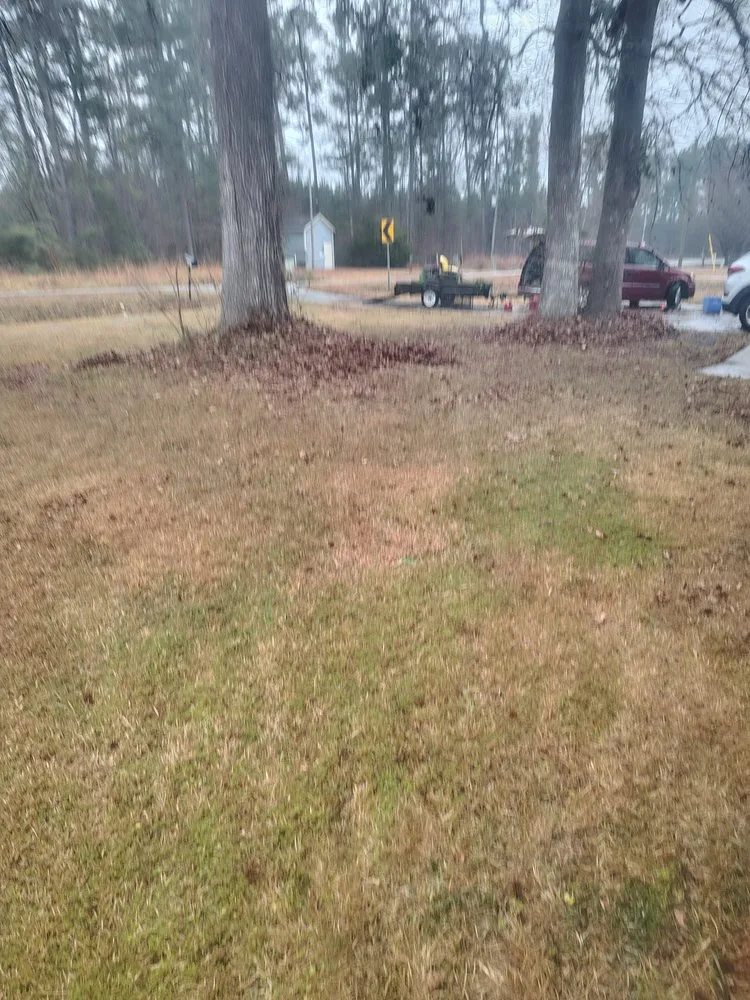 Professional garden landscaping in Delco, NC by M & T LawnCare & Landscaping