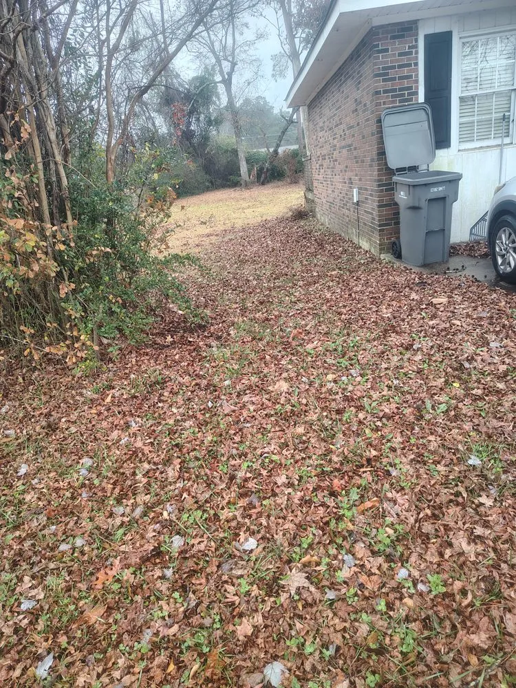 Expert lawn mowing service in Delco, NC - M & T LawnCare & Landscaping