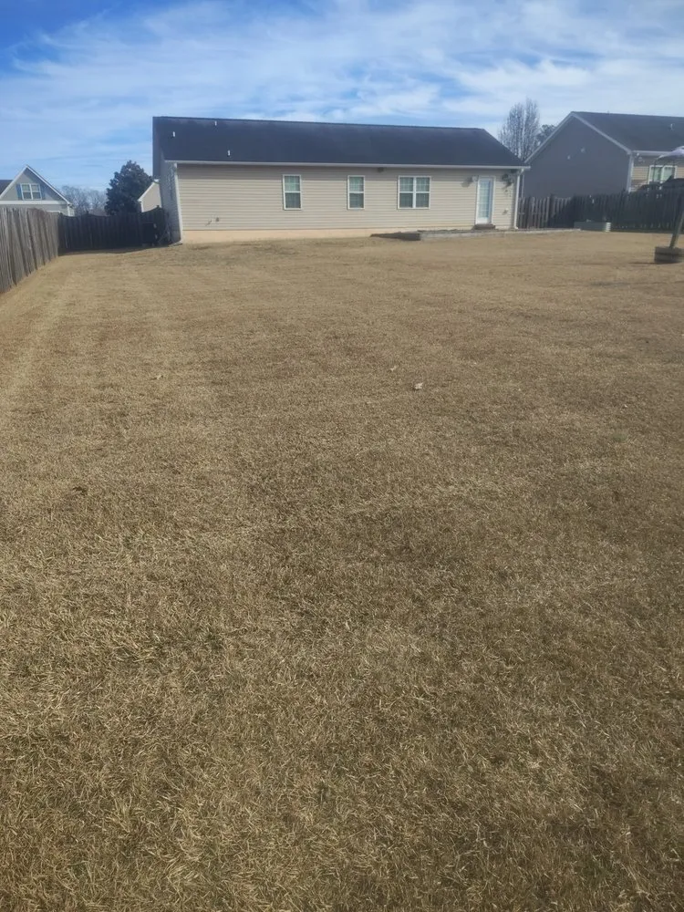 Top-rated landscape installation experts serving Delco, NC - M & T LawnCare & Landscaping