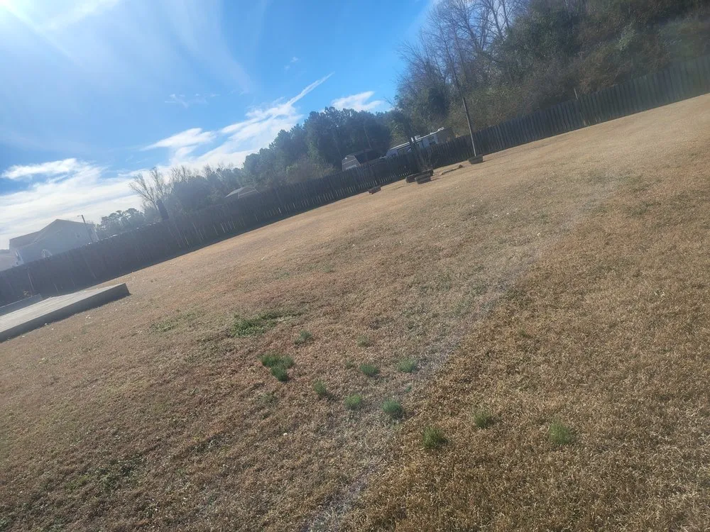 Expert yard maintenance for homes in Delco, NC by M & T LawnCare & Landscaping