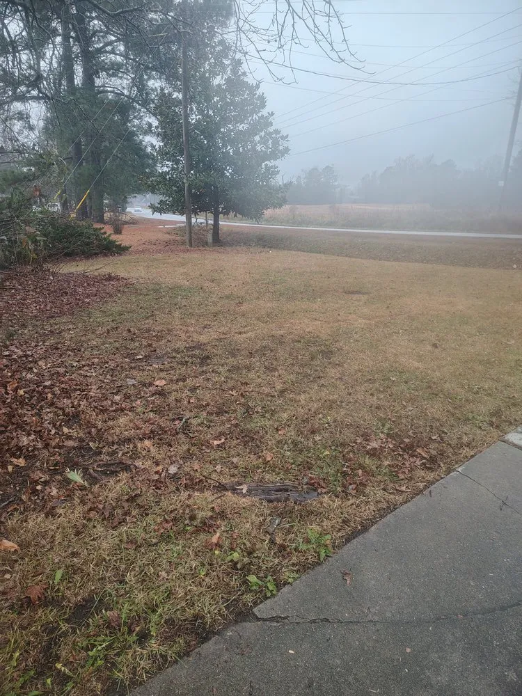 Local residential landscaping in Delco, NC by M & T LawnCare & Landscaping