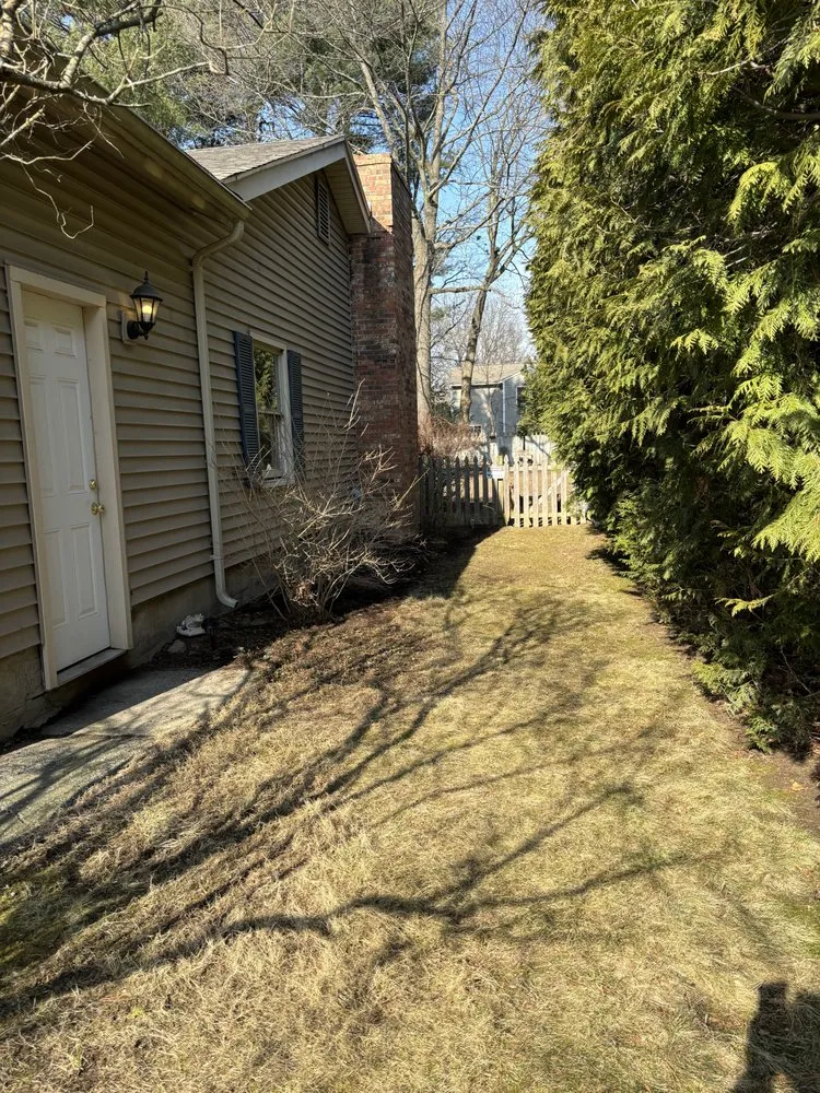 Affordable yard cleanup service in Burlington, VT by M & T Properties