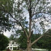 Custom landscape installation in Katonah, NY - M & Z Treecare Landscaping Service's