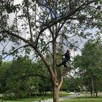 Affordable lawn care service experts serving Katonah, NY - M & Z Treecare Landscaping Service's