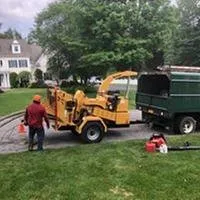 Top-rated lawn care service for year-round maintenance across Katonah, NY - M & Z Treecare Landscaping Service's