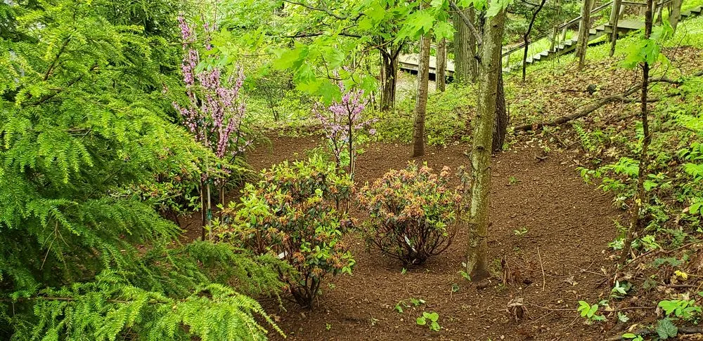 Professional yard maintenance for outdoor upgrades in Niles, MI by M A A C Property Services