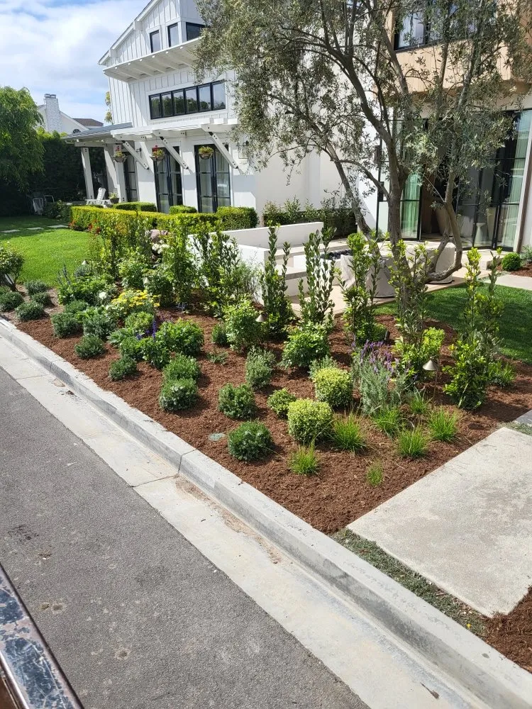 Reliable landscape design for homes in Homeland, CA by M A Handyman