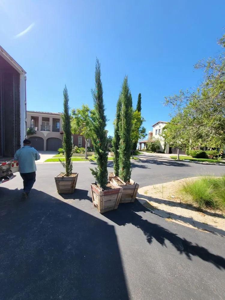 Reliable outdoor landscaping for outdoor upgrades across Homeland, CA - M A Handyman