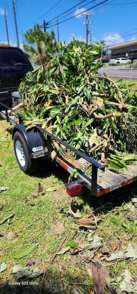 Professional landscape installation in Hilo, HI - M A N A Loa Farms