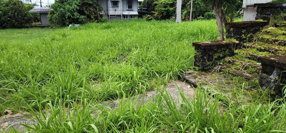 Top-rated yard maintenance in Hilo, HI by M A N A Loa Farms