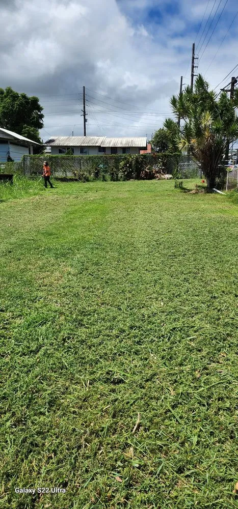 Trusted residential landscaping in Hilo, HI by M A N A Loa Farms