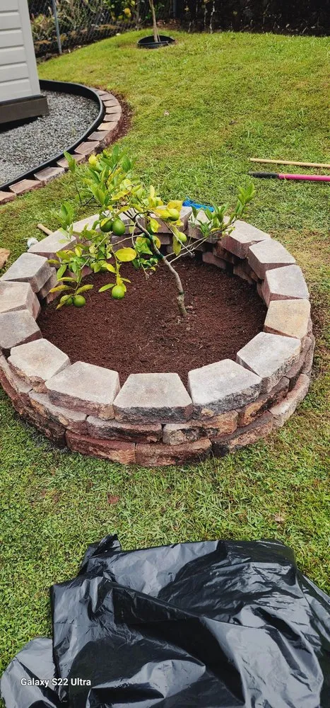 Professional outdoor landscaping experts serving Hilo, HI - M A N A Loa Farms