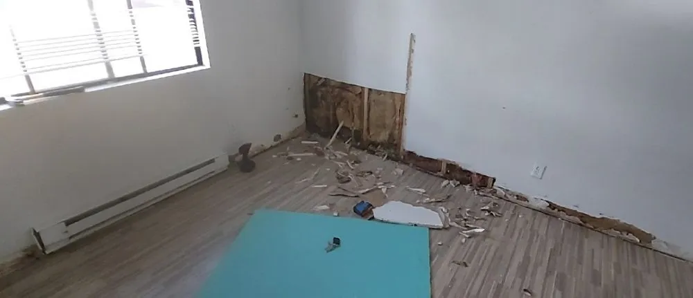 Professional landscape design experts serving Tucson, AZ - M A Q S Maintenance And Quality Services