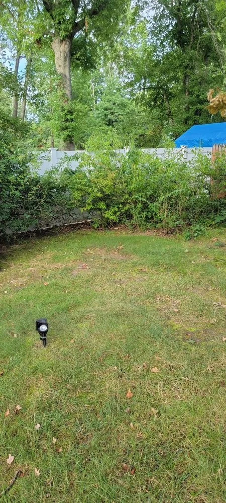 Reliable yard cleanup service for year-round maintenance in City of Orange, NJ by M Abrego Landscaping & Design