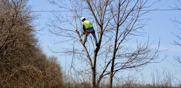 Custom lawn mowing service experts serving Somerville, NJ - M and A Tree Services