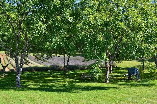 Top-rated lawn mowing service experts serving Somerville, NJ - M and A Tree Services