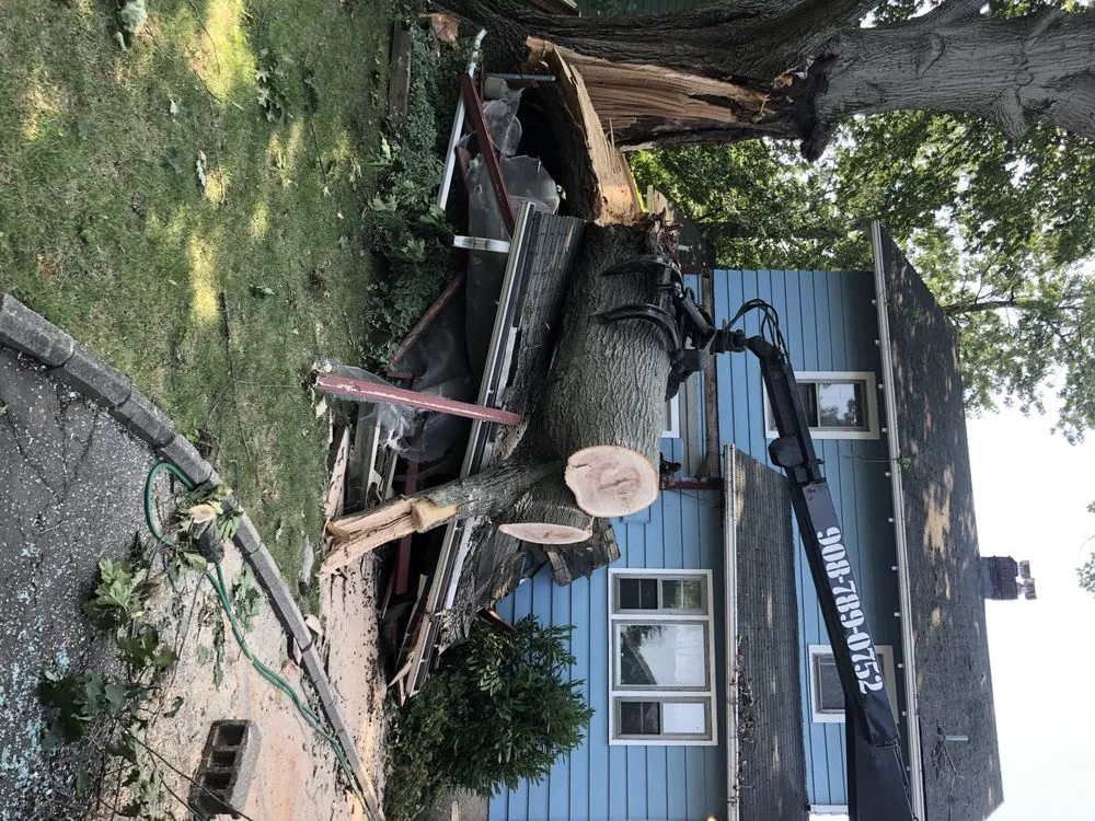 Reliable landscape installation for homes in Somerville, NJ by M and A Tree Services