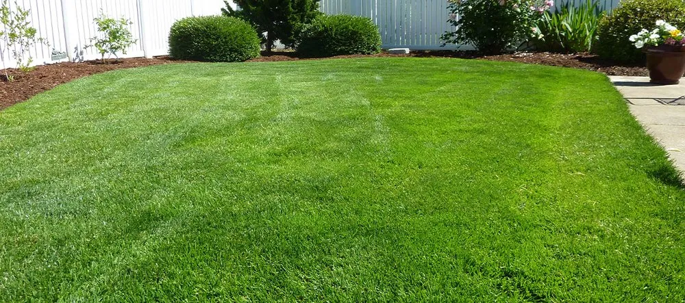 Trusted landscape installation for outdoor upgrades in Seymour, IN by M And B Wildwoods