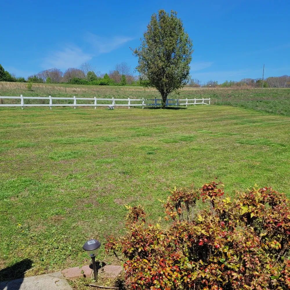 Reliable lawn mowing service with custom design in Martin, GA by M and D Lawn Care