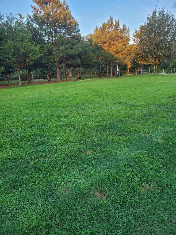 Expert landscape installation in Martin, GA by M and D Lawn Care