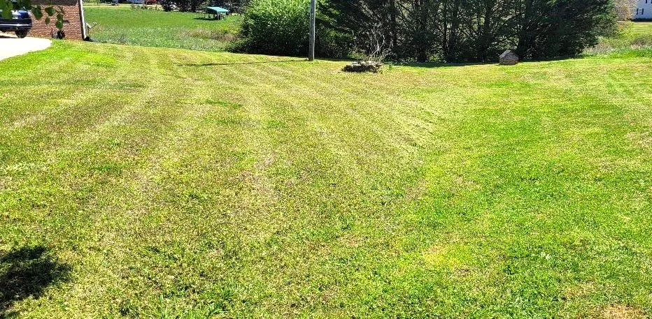 Professional yard cleanup service in Martin, GA by M and D Lawn Care