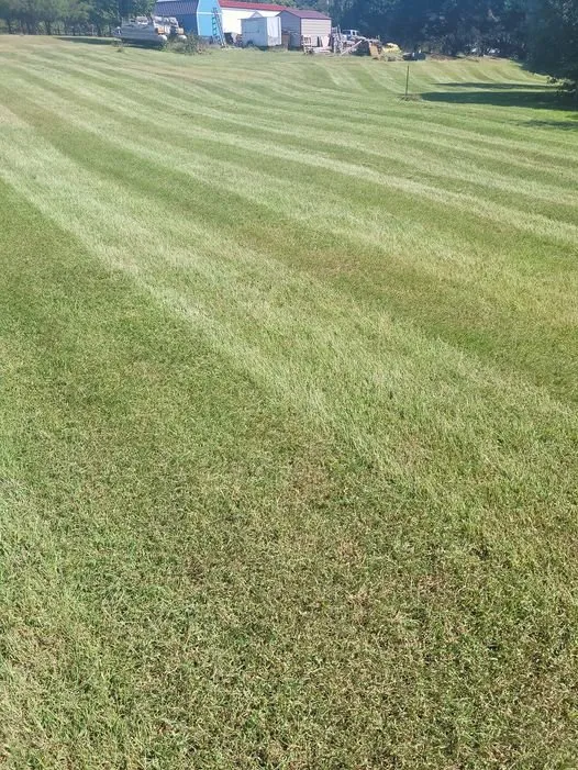 Top-rated landscaping services with custom design in Martin, GA by M and D Lawn Care