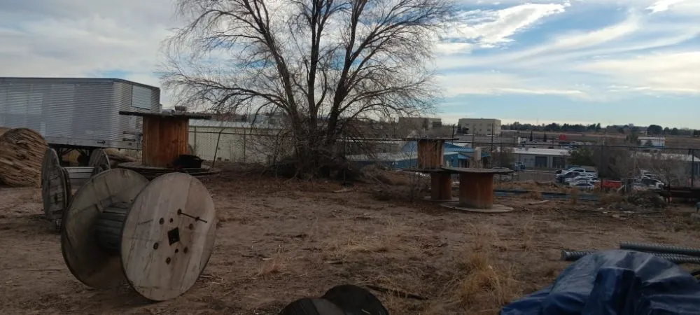 Trusted yard maintenance in Los Lunas, NM by M and J Solutions