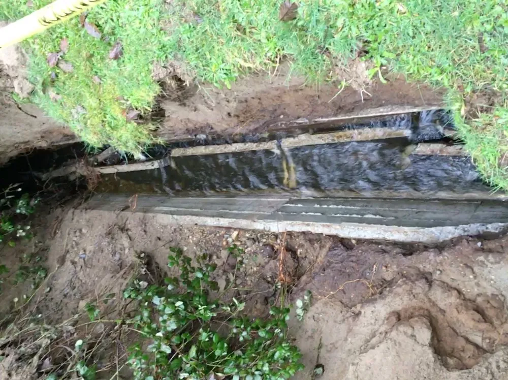 Affordable lawn mowing service in Port Orchard, WA by M and JL Gen Lawn Service maintenance