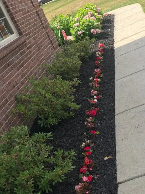 Professional residential landscaping for year-round maintenance in Toledo, OH by M And M Landscape Services
