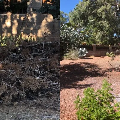 M and M Landscaping Service