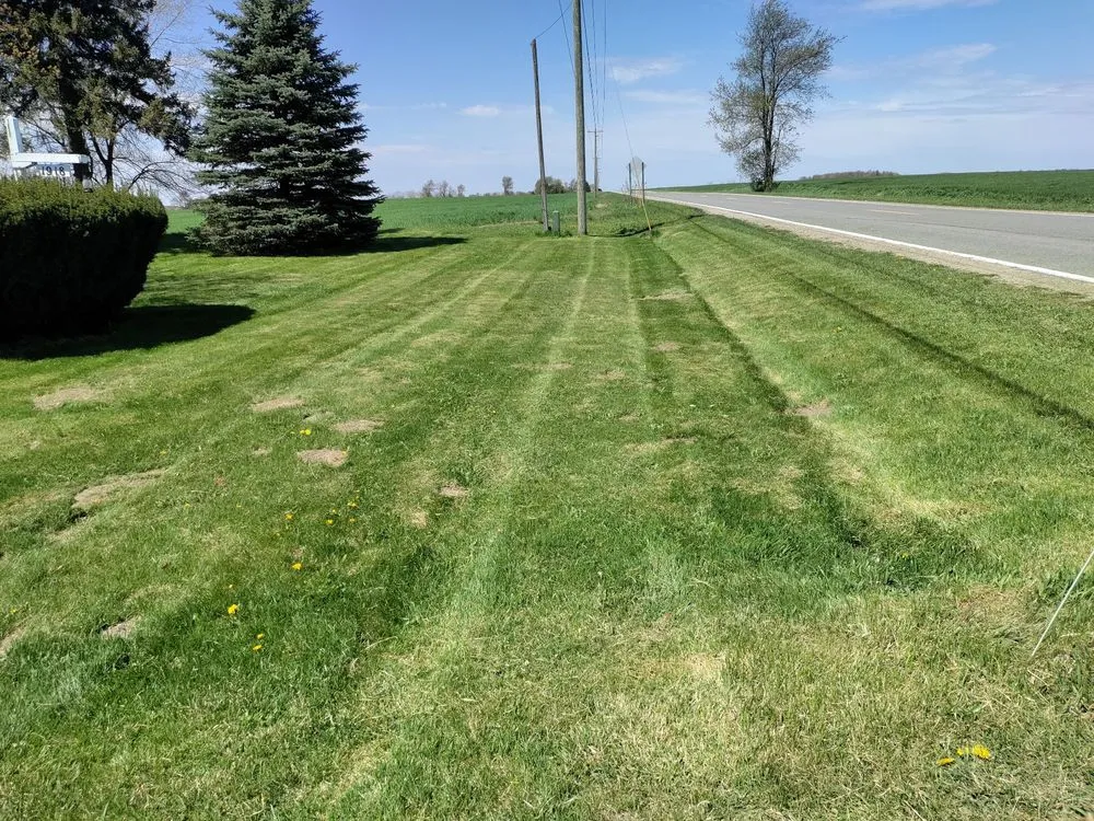 Affordable yard cleanup service in Stanton, MI - M and P Quality Lawn Care