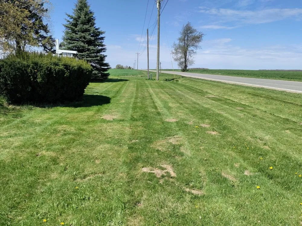 Reliable yard cleanup service experts serving Stanton, MI - M and P Quality Lawn Care