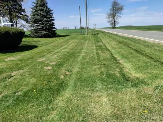 M and P Quality Lawn Care Logo