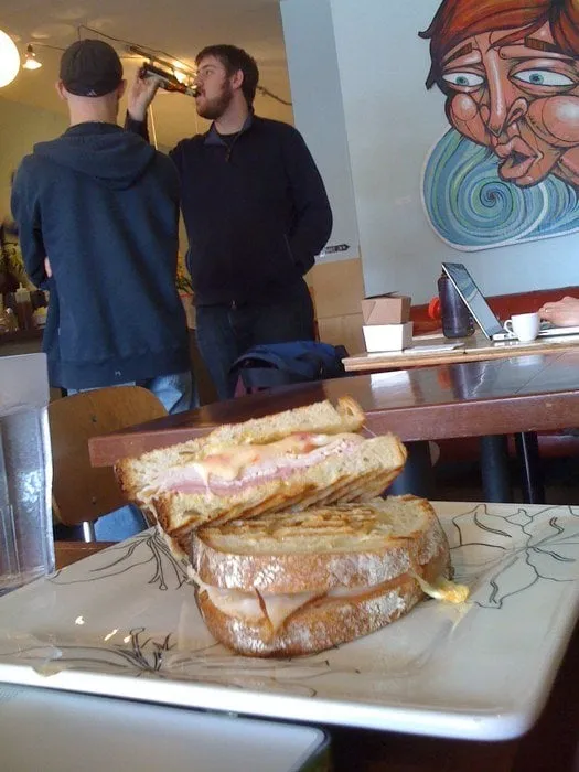 Professional lawn care service in San Antonio, TX - M and R Handyman Services