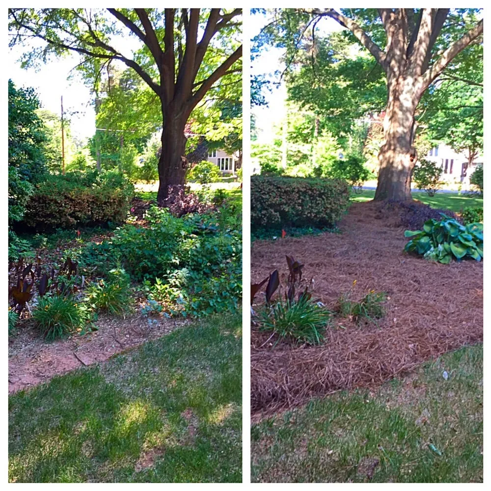 Trusted yard maintenance for outdoor upgrades across Cornelius, NC - M and R Landscaping