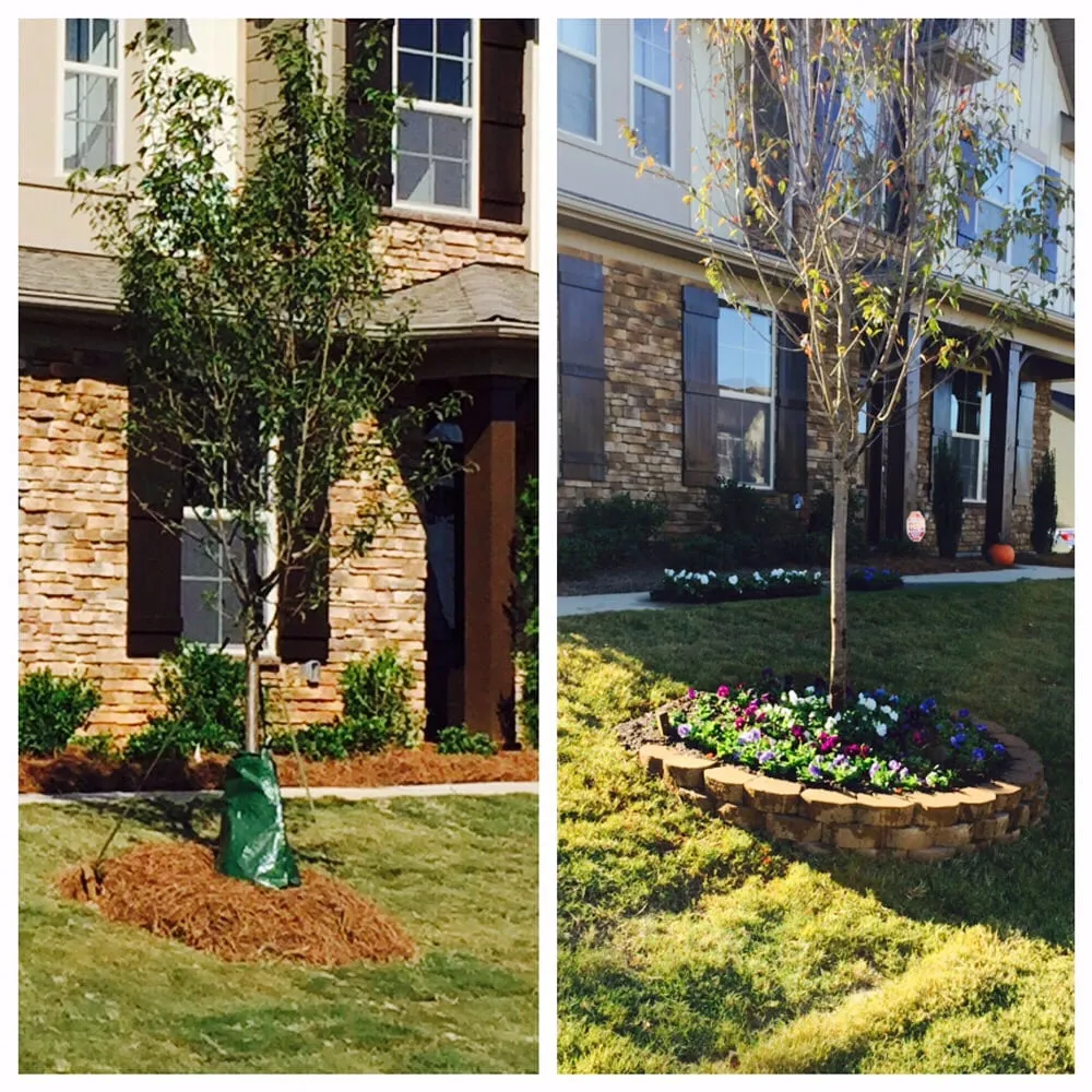 Trusted outdoor landscaping for year-round maintenance across Cornelius, NC - M and R Landscaping