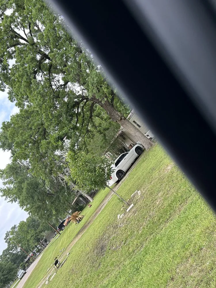 Professional landscape design near you in Magnolia, TX by M And S Handy Services