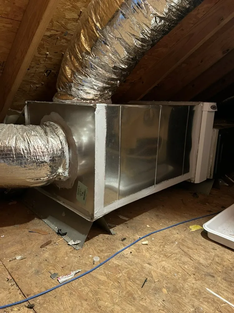 Custom yard cleanup service in Magnolia, TX - M And S Handy Services