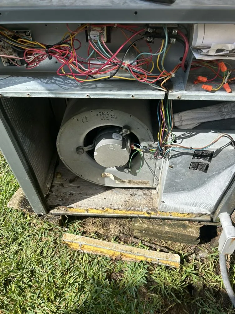 Trusted landscape installation for year-round maintenance across Magnolia, TX - M And S Handy Services