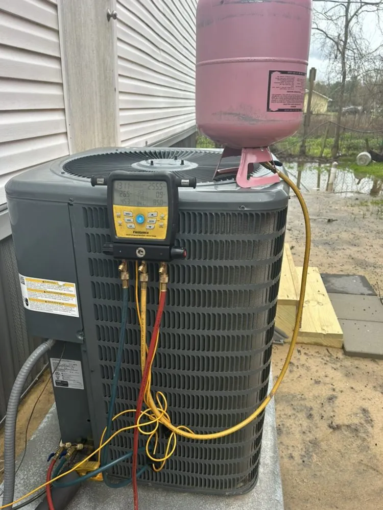 Professional yard cleanup service experts serving Magnolia, TX - M And S Handy Services