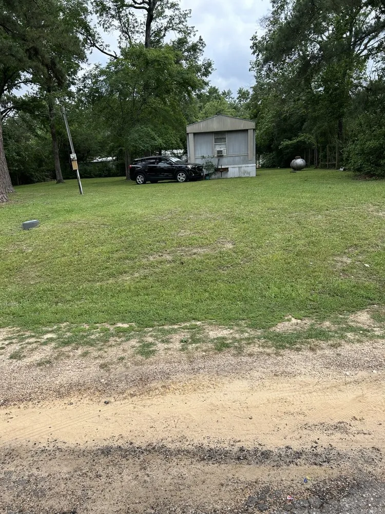 Expert yard cleanup service experts serving Magnolia, TX - M And S Handy Services